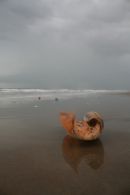 Casamance 37
